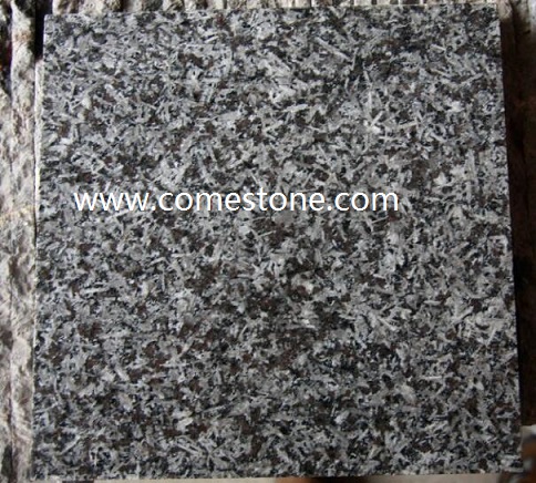 ST. Louis Granite Tile